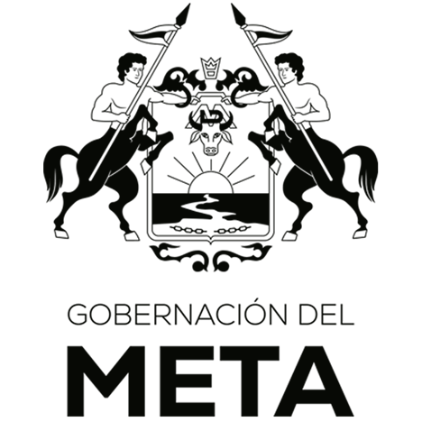 GOBERNACIÓN DEL META